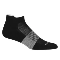 Icebreaker Des Chaussettes Multisport Light Micro Merino