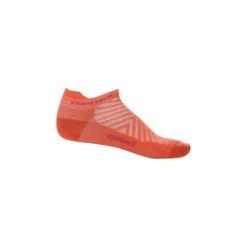 Icebreaker Des Chaussettes Run+ Ultralight Micro