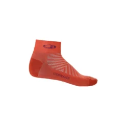 Icebreaker Des Chaussettes Run+ Ultralight Mini