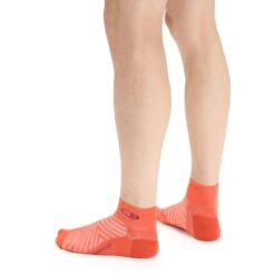Icebreaker Chaussettes Homme - Run+ Ultralight Mini - Vibrant Earth/Go Berry -Icebreaker icebreaker mens run plus ultralight mini socks vibrant earth go berry 3 1381823