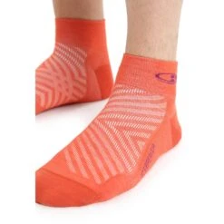 Icebreaker Chaussettes Homme - Run+ Ultralight Mini - Vibrant Earth/Go Berry -Icebreaker icebreaker mens run plus ultralight mini socks vibrant earth go berry 4 1381824
