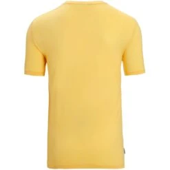 Icebreaker T-Shirt Homme - Tech Lite II - Summer 10 Icebreaker T-Shirt Homme - Tech Lite II - Summer -Icebreaker icebreaker mens tech lite ii t shirt summer 2 1382305