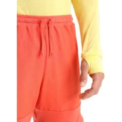 Icebreaker Short Homme - ZoneKnit™ - Vibrant Earth/Go Berry -Icebreaker icebreaker mens zoneknit shorts vibrant earth go berry 4 1458882