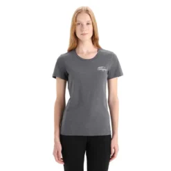 Icebreaker T-shirt à Manches Courtes Central Classic Caravan Life