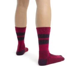 Icebreaker Chaussettes Femme - Hike+ Light Crew Natural Summit - Electron Pink/Nightshade/Black 6 Icebreaker Chaussettes Femme - Hike+ Light Crew Natural Summit - Electron Pink/Nightshade/Black -Icebreaker icebreaker womens hike plus light crew natural summit socks electron pink nightshade black model 2 1498743